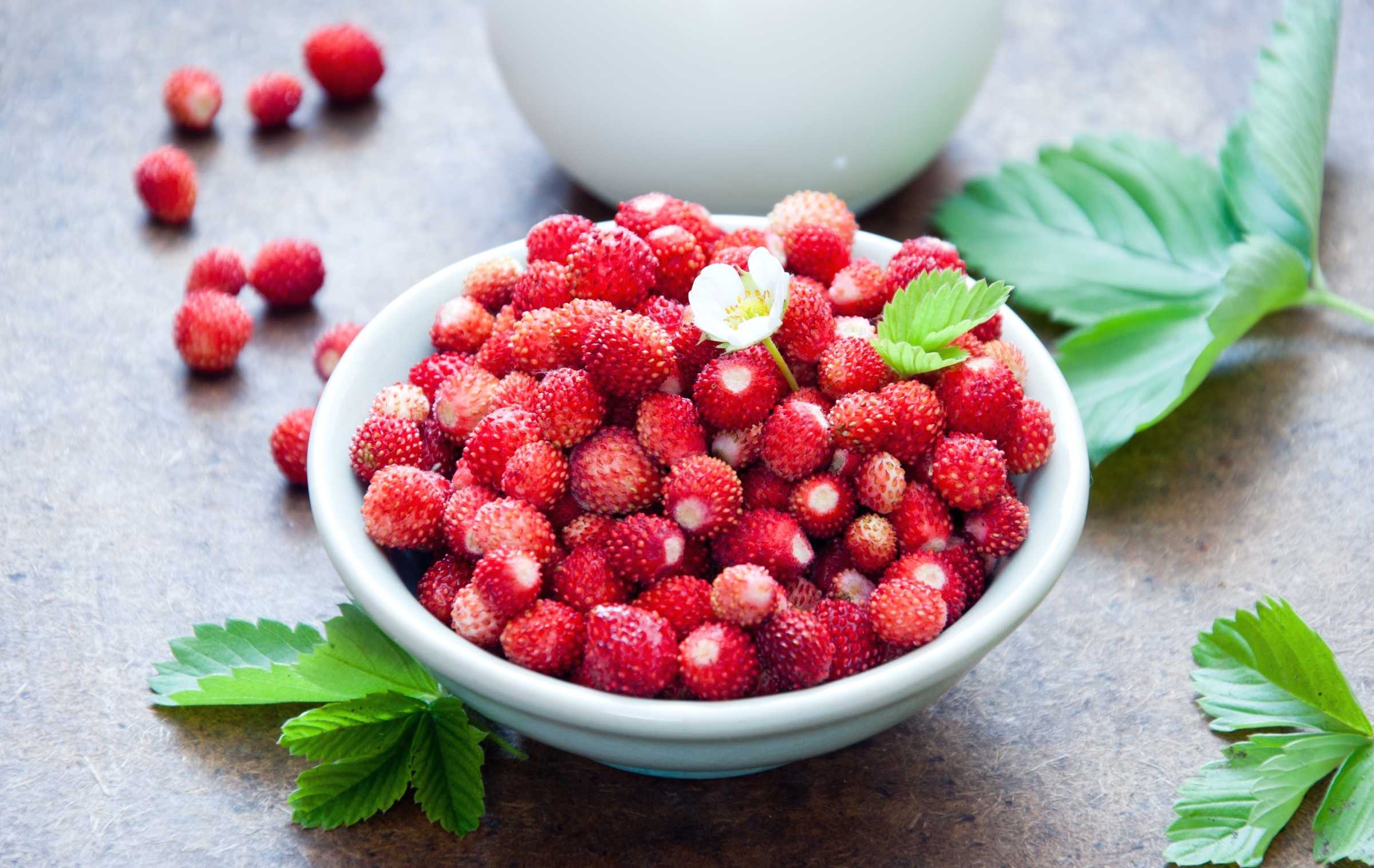 Почему ягоды клубники корявые и маленькие: 4 фактора деформации