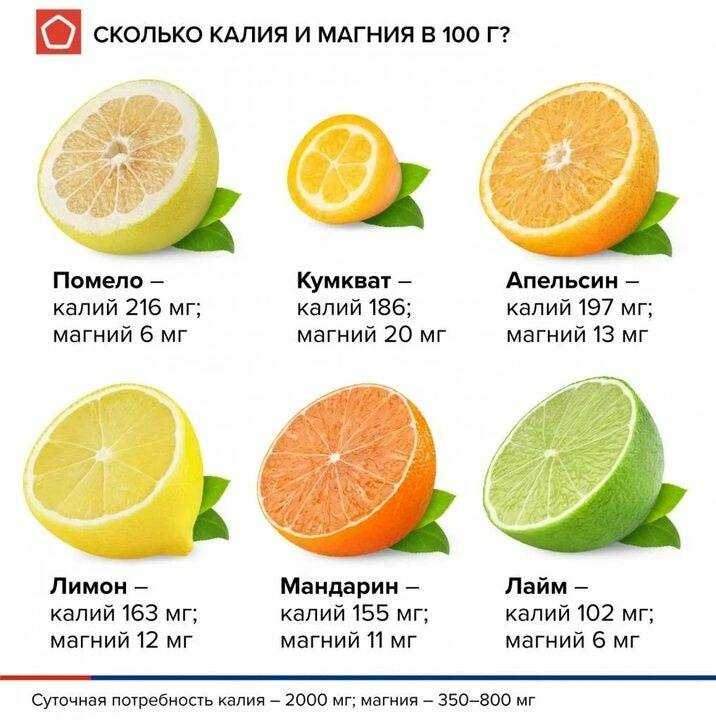 Удивительный плод апельсин – фрукт или ягода, особенности и описание, сбор и использование урожая