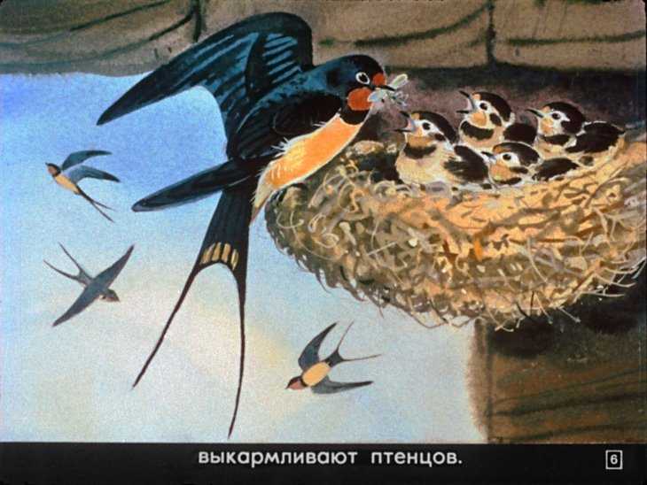 Г.я.снегирёв. маленькое чудовище. рассказы. читать онлайн с картинками или скачать pdf