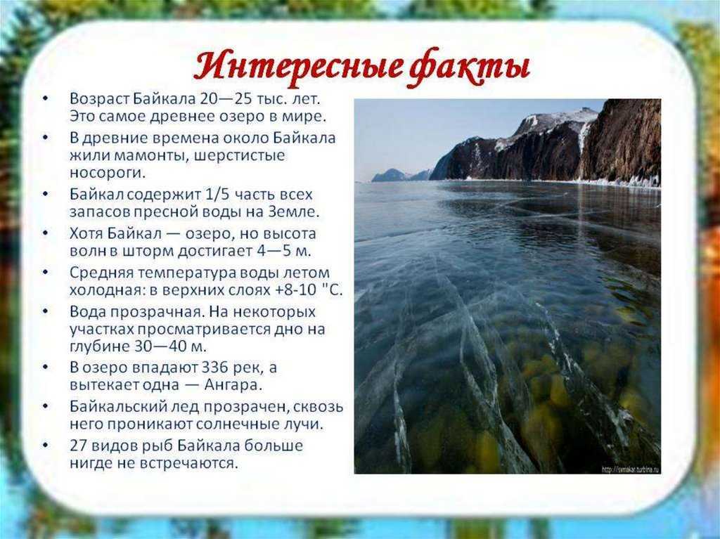 Сколько на нашей планете земля морей и океанов