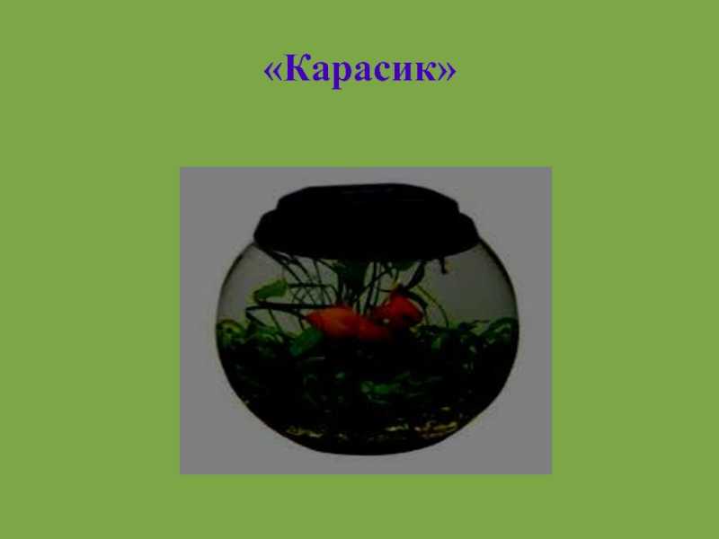Литературная игра – викторина по произведениям н.носова