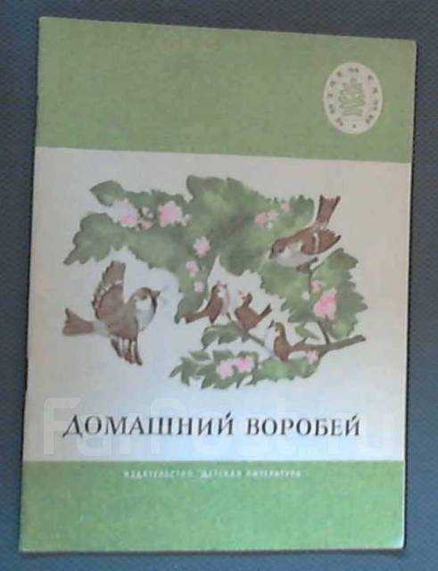Воробей: описание, виды, обитание, питание, враги | планета животных