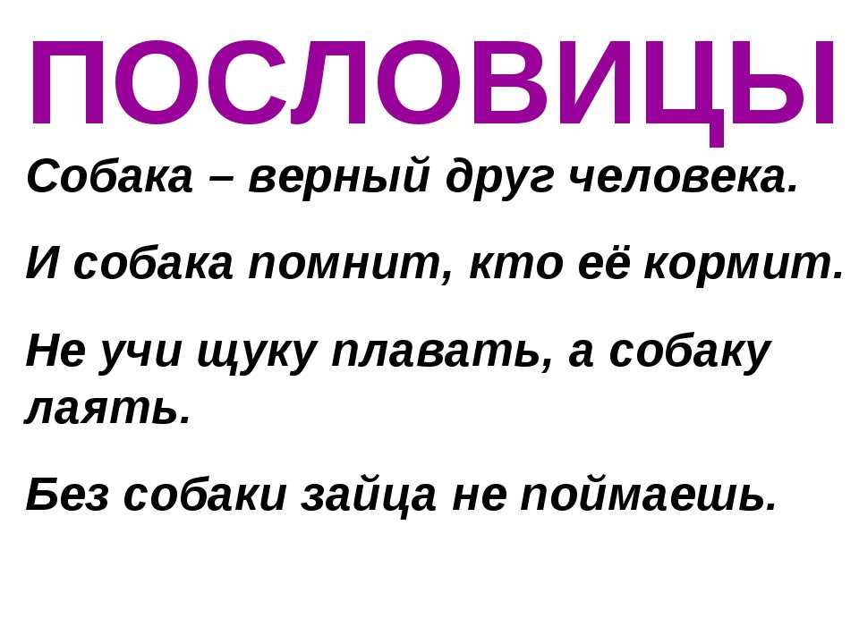 Цитаты и афоризмы про собак. собака – друг человека