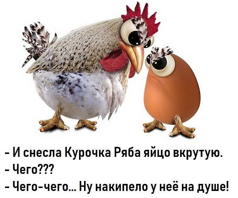 Продолжение известных пословиц: на чаек к друзьям newsland – комментарии, дискуссии и обсуждения новости.