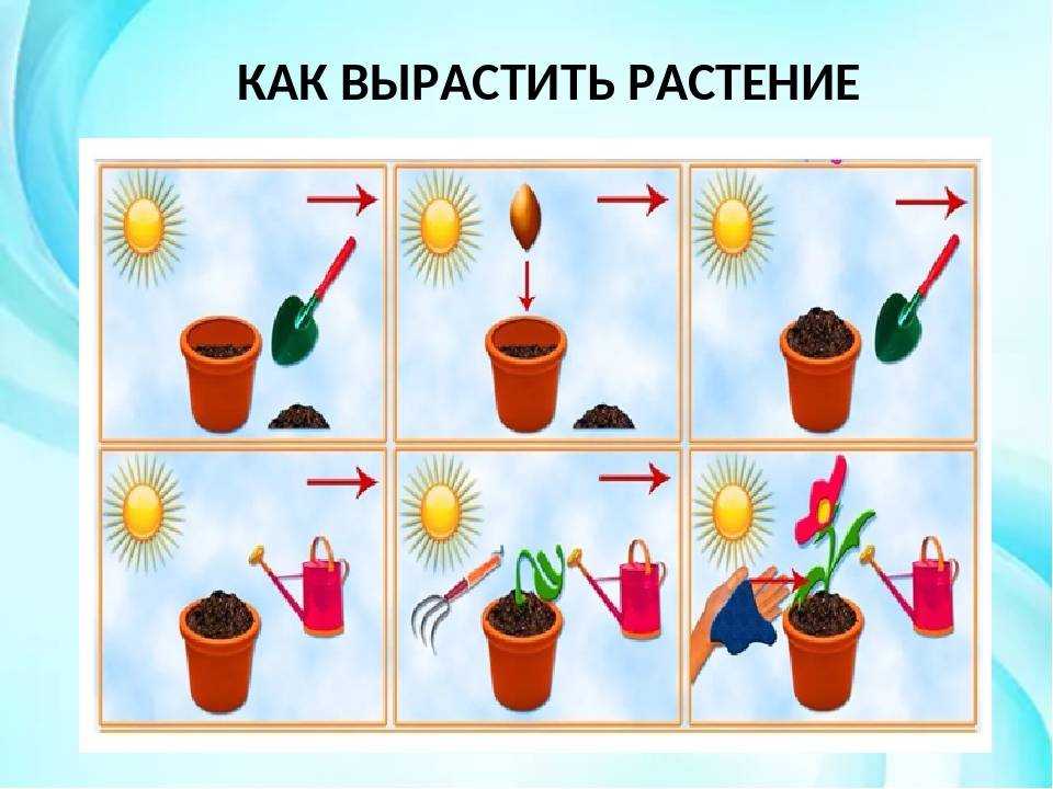 На нашей планете многие миллиарды существует жизнь, весьма и весьма разнообразная На Земле есть животные, способные перемещаться по ее поверхности и добывать