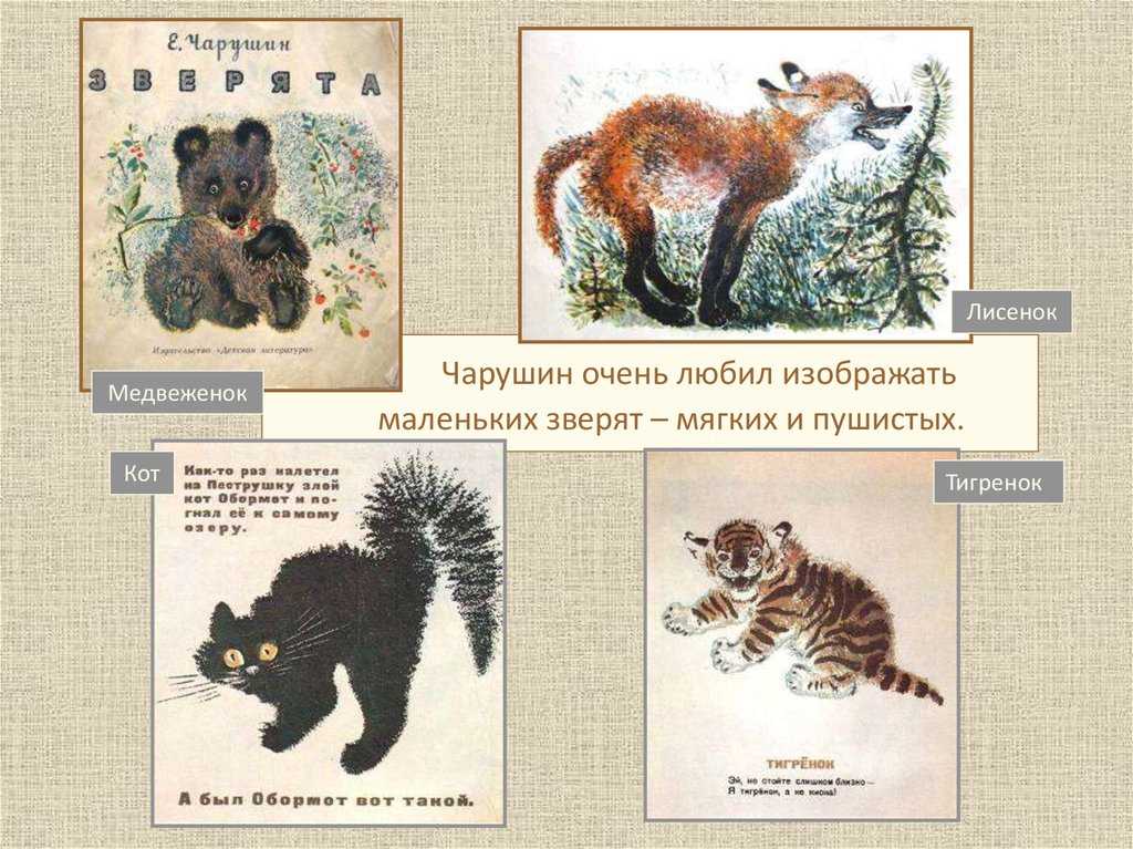 Зверята - чарушин е.и. рассказ про детенышей лесных зверей.