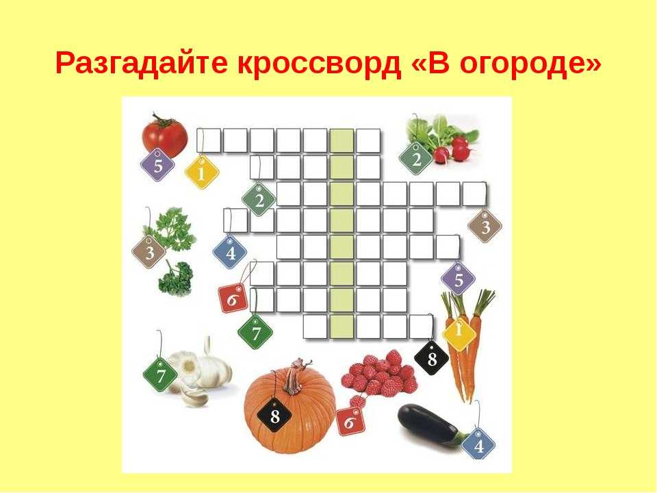 Загадки про картофель для детей