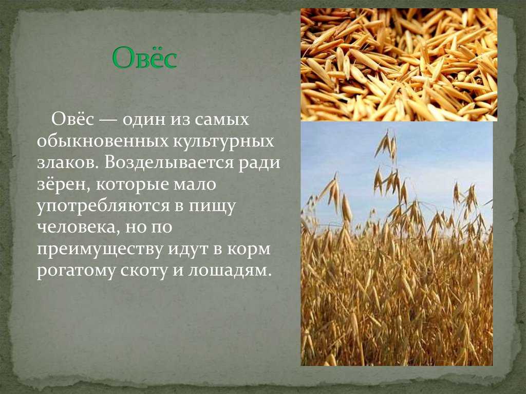 Гдз к литературному чтению 2 класс, учебник, 1 часть, климанова, школа россии устное народное творчество с.13-64 - страница 3