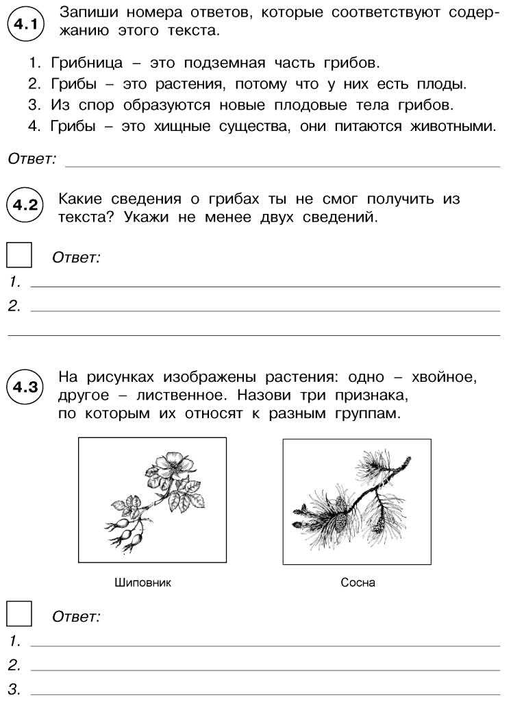 Загадки о профессиях для детей дошкольного возраста с ответами