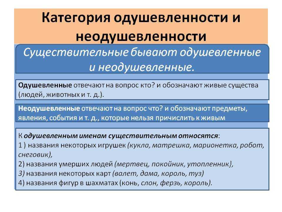 В чем проявляется связь слова с понятием и предметом