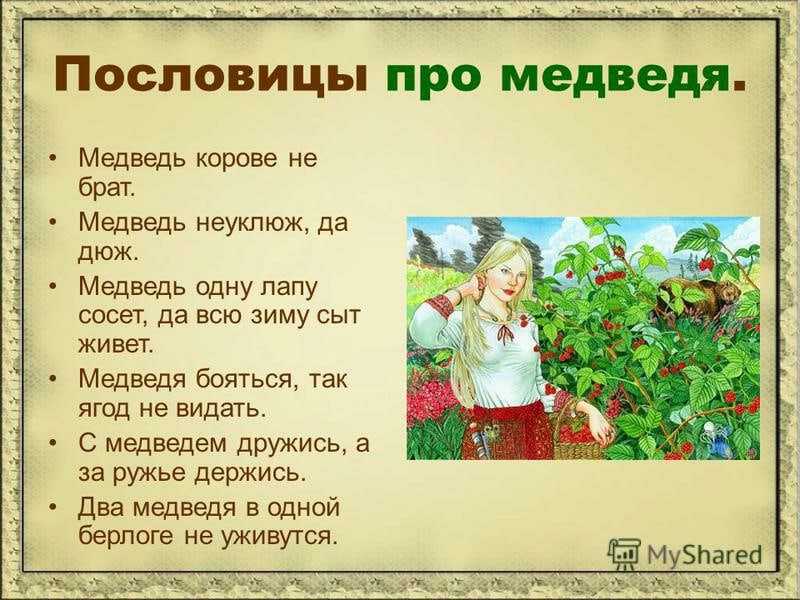 ✅ пословицы про медведя «155 шт» поговорки для 1,2,3,4,5 класса