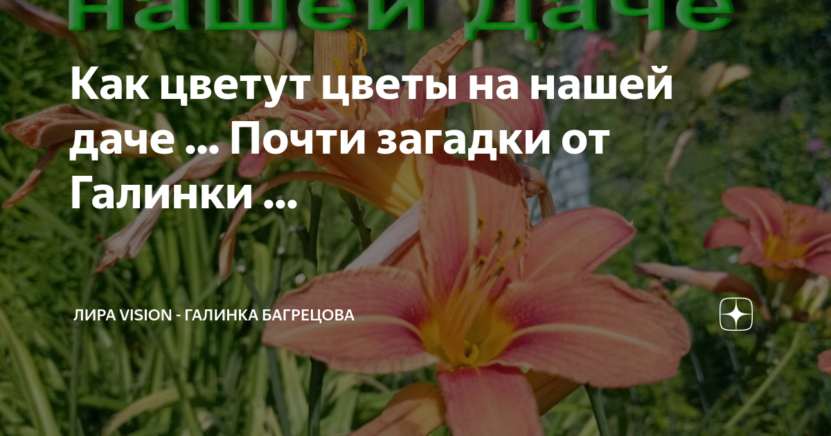Конспект фронтального занятия «звук [ц] и буква ц. цыпленок цып». воспитателям детских садов, школьным учителям и педагогам - маам.ру