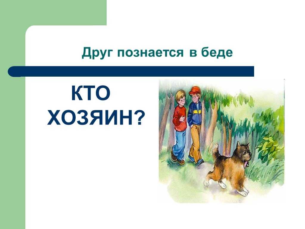 В.осеева
						кто хозяин