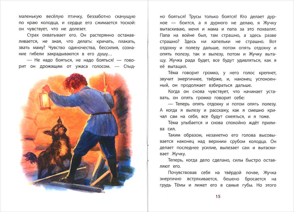 Главный герой рассказа Николая Гарина-Михайловского Тёма и Жучка - маленький мальчик Тёма, который однажды среди ночи проснулся и спросил у няни, где сейчас