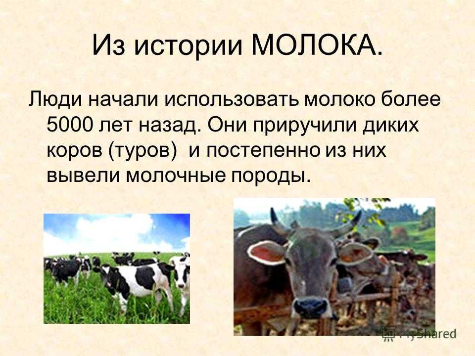 Сказка про молоко для детей