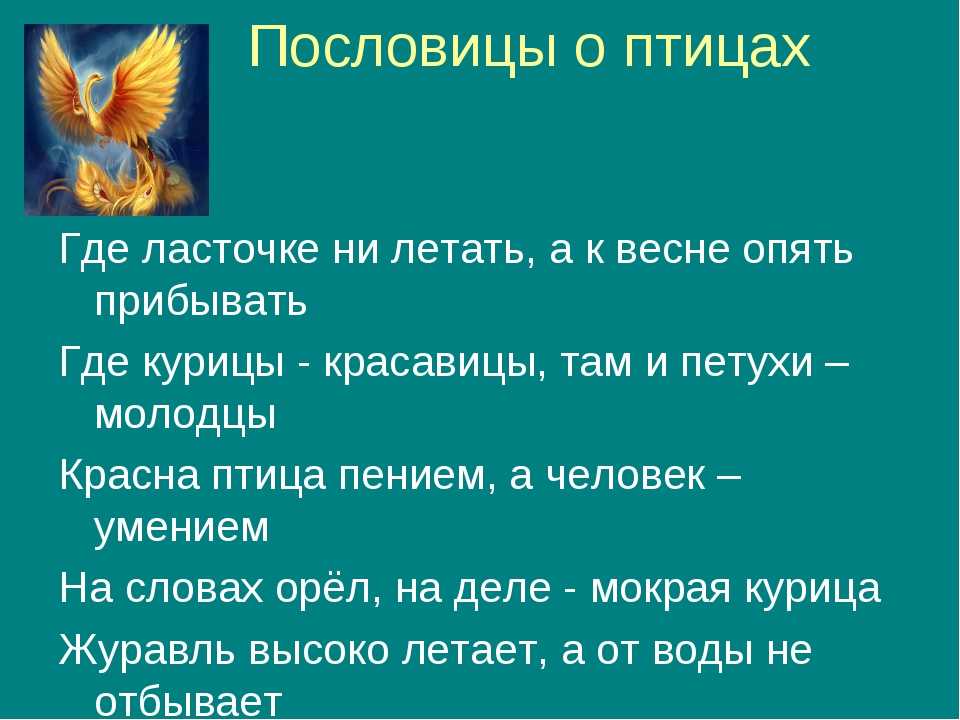 Вороне соколом не быть значение пословицы