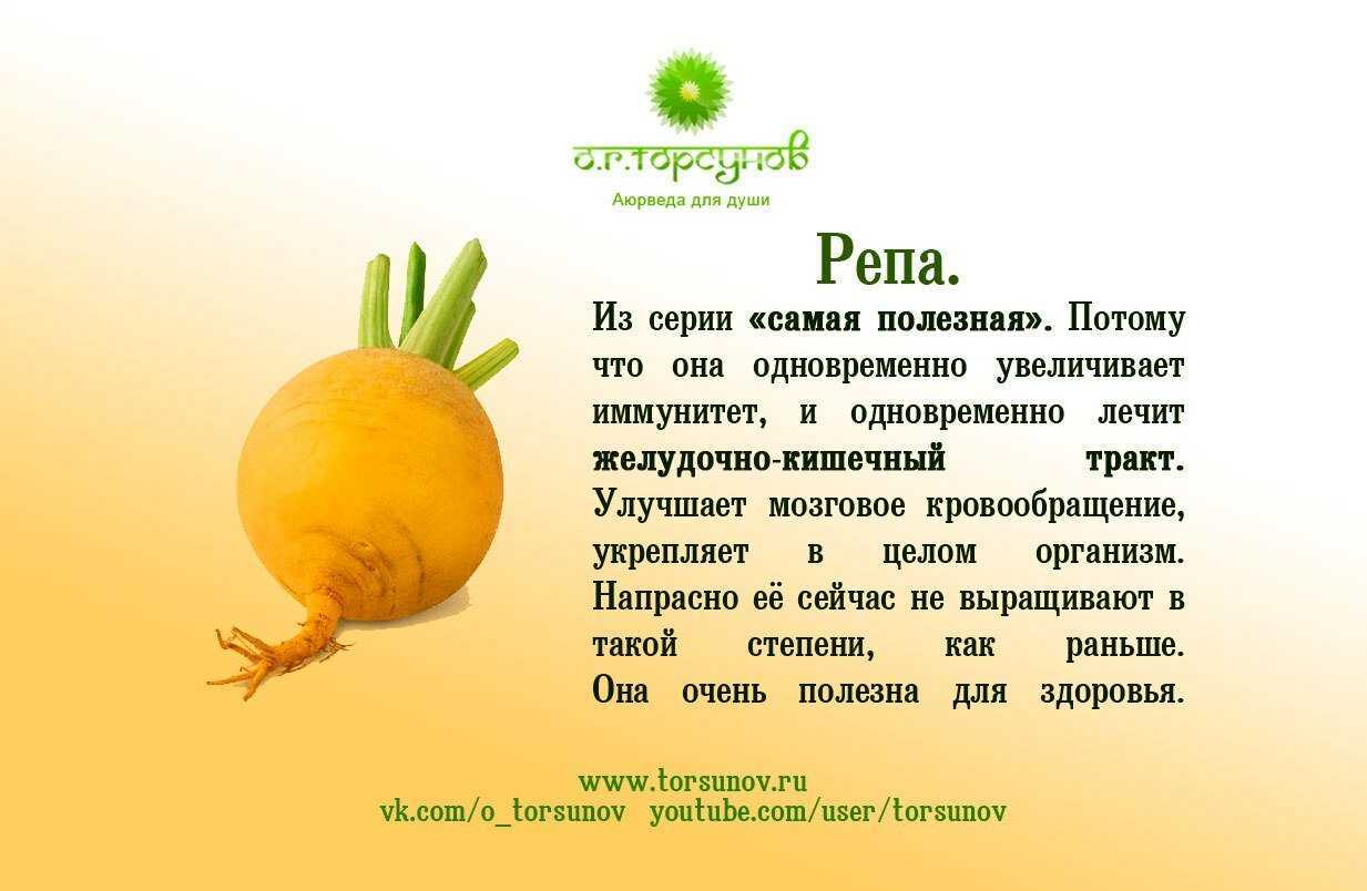 Русская народная сказка репка краткое содержание