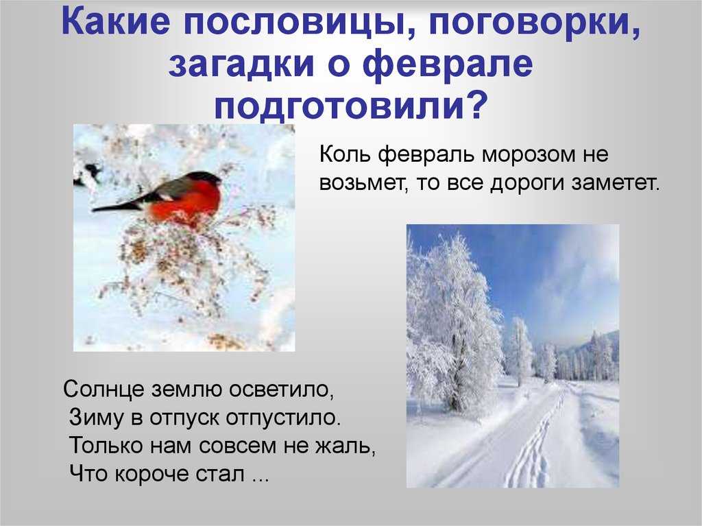 Пословицы поговорки о феврале. пословицы про февраль