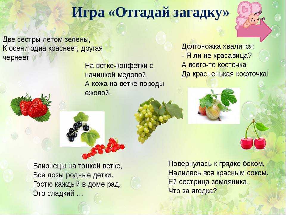 Польза ягод: открываем ягодный сезон! - будь здоров!