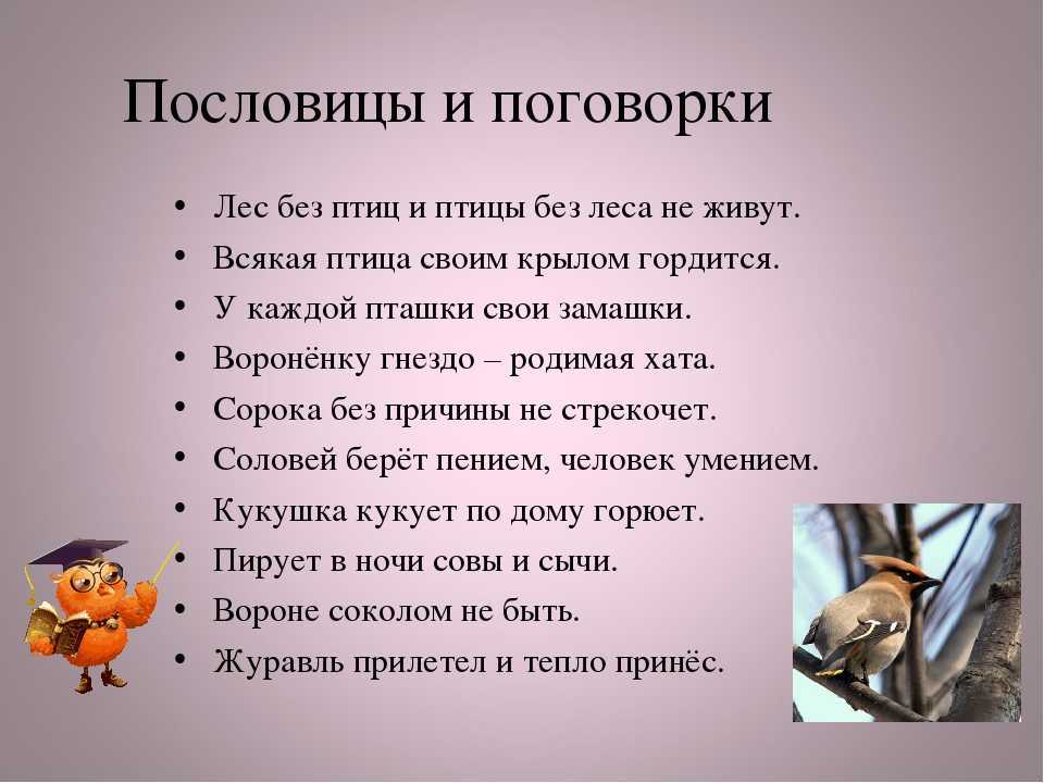 ✅ пословицы о животных «601 штука» поговорки для 1,2,3,4,5 класса