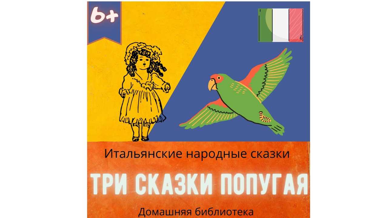 Курляндский приключения попугая кеши читать онлайн. про попугая кешу и другие истории — александр курляндски