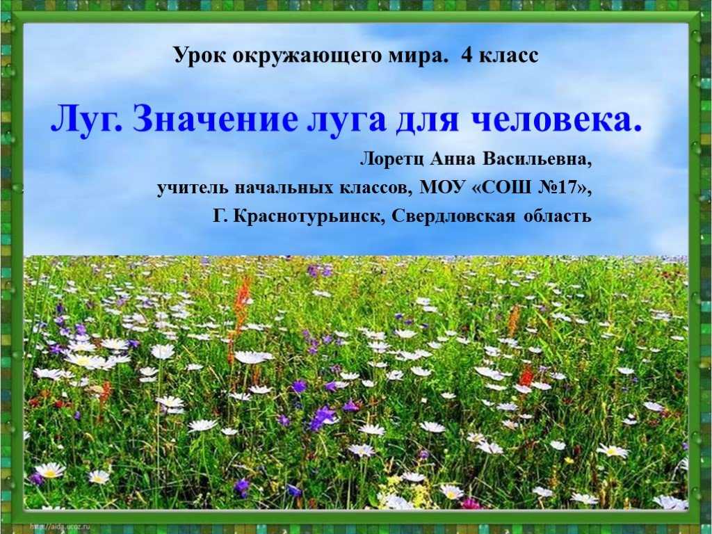 Жизнь луга стр. 170 - 177. окружающий мир 4 класс 1 часть