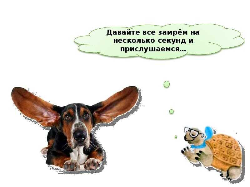 Окружающий мир 1 класс 2 часть почему звенит звонок? стр. 38 – 39