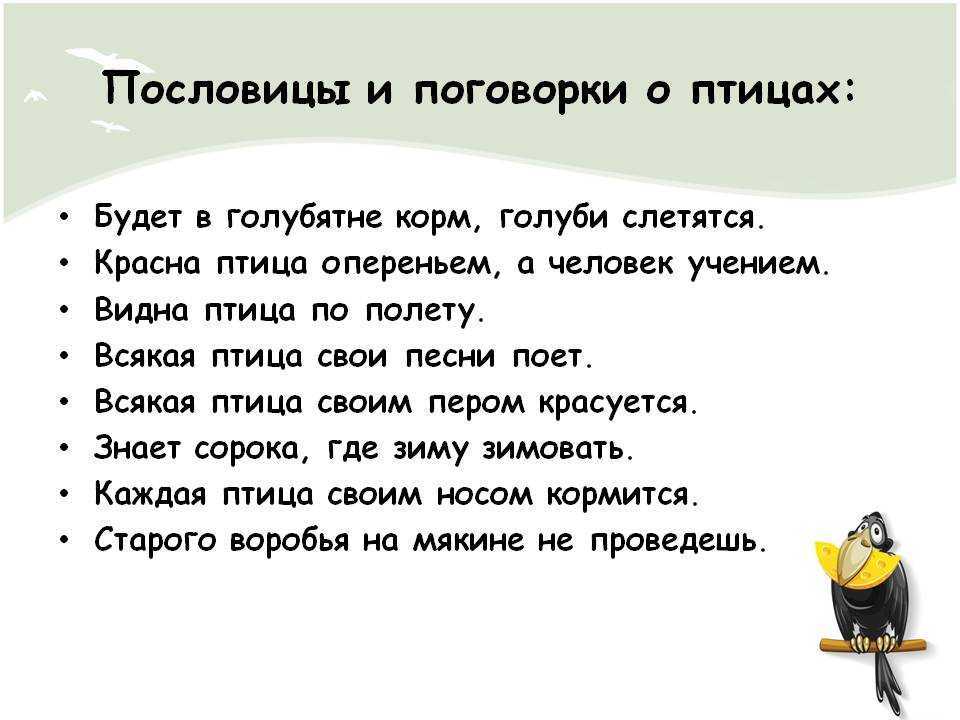 Пословицы и поговорки о животных для детей дошкольного возраста
