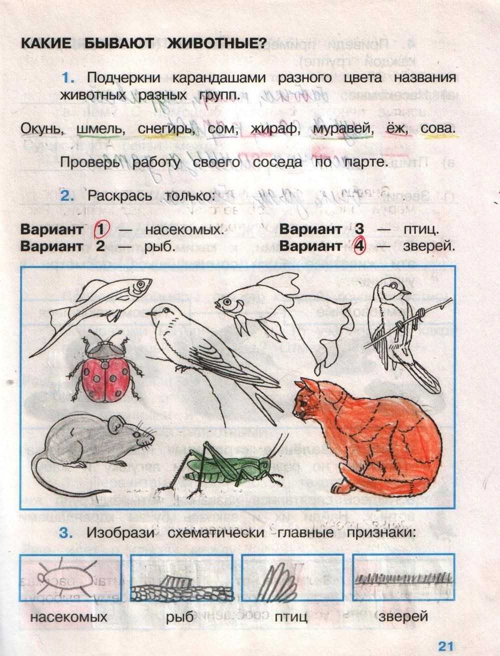 Сочинение на тему описание неба