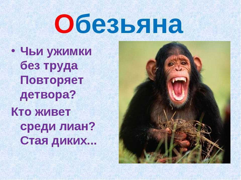 Орангутан или орангутанг?