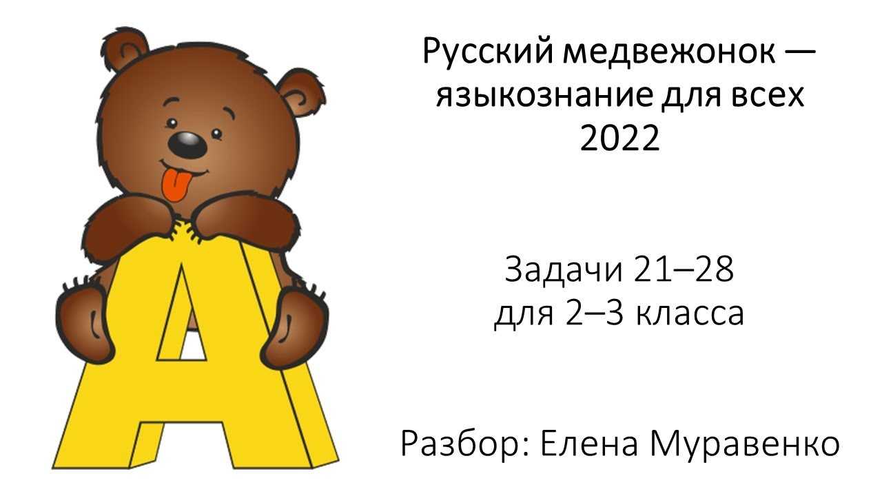 Ответы для 2-3 класса "русский медвежонок" 2021