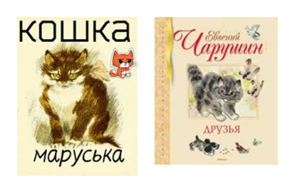 Кошка Маруська от плохой, голодной жизни стала в лес ходить, охотиться Об этом мы узнали из рассказа Евгения Чарушина под названием Кошка Маруська А
