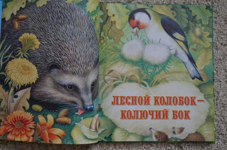 Сказки про лесных жителей для детей читать онлайн