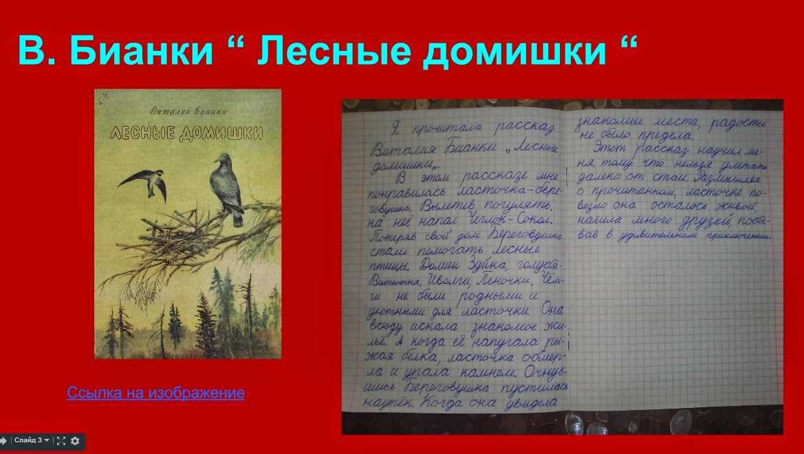 Лесные домишки - рассказ виталия бианки читать с картинками