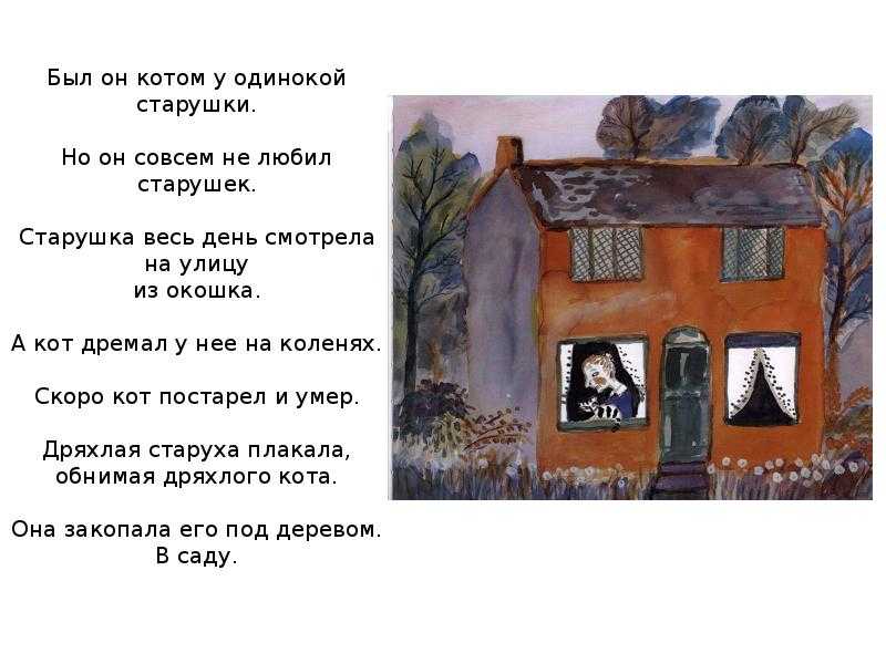 Странное поведение кошки в квартире