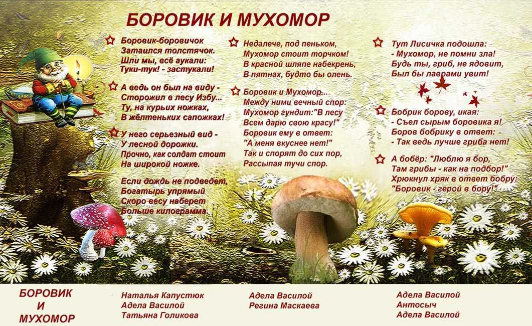 Стихи про грибы для детей - короткие стихи про лисички, боровики, опята - стихи для детей