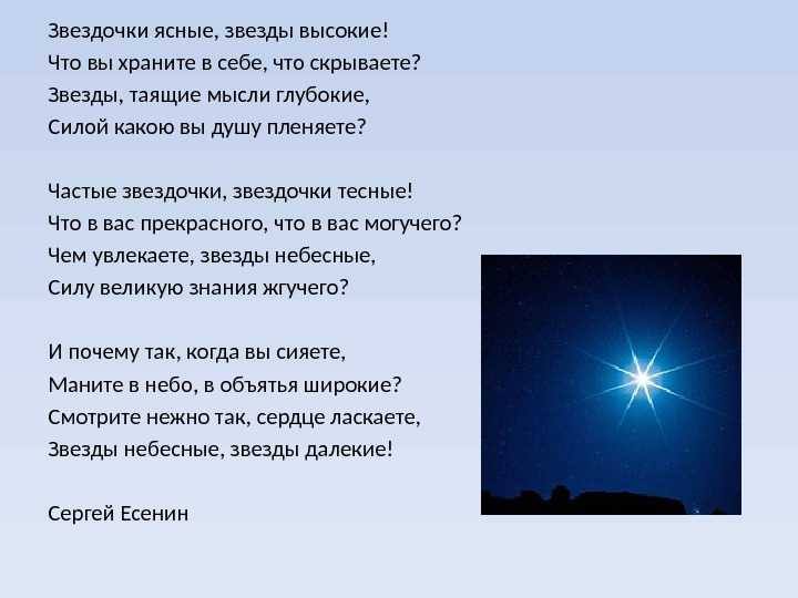 Зачарованный лес