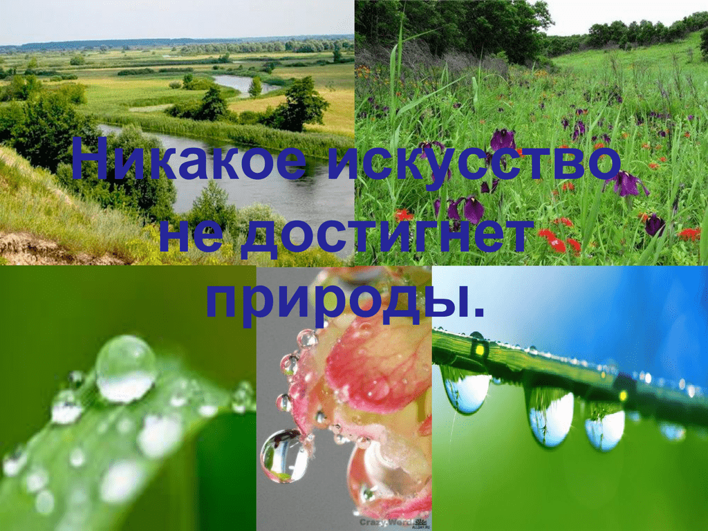 Какая бывает роса на траве толстой анализ. ~какая бывает роса на траве~