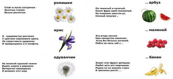 Загадки про шиповник важно прочитать, сделав акцент на ключевые, опорные слова Осторожнее с кустом, С тем, что с пильчатым листом, Нежно-розовым цветет, Но