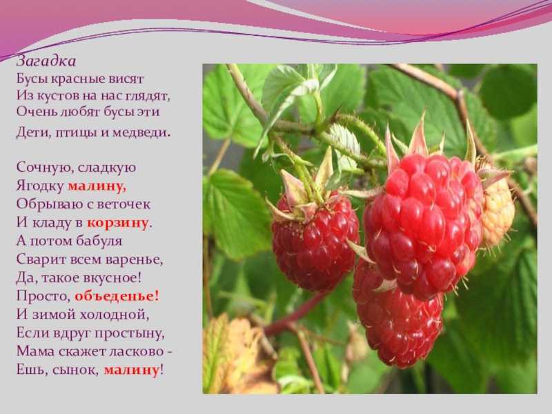 Детям о ягодах