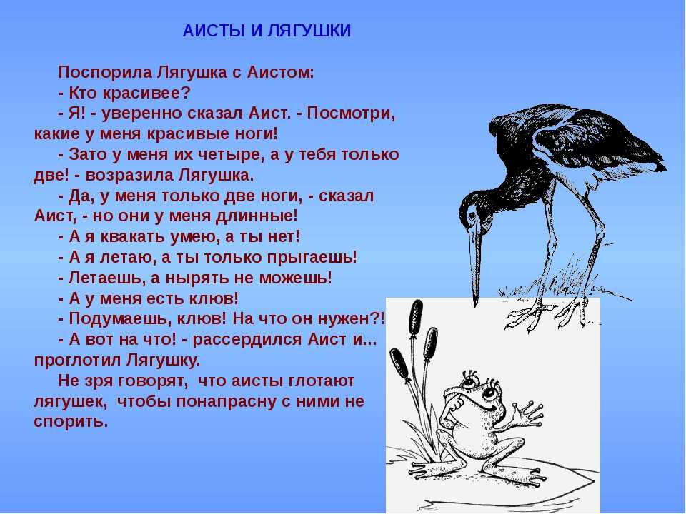 Аисты и лягушки Поспорила Лягушка с Аистом: — Кто красивее — Я — уверенно сказал Аист — Посмотри, какие у меня красивые ноги — Зато у меня их четыре, а у
