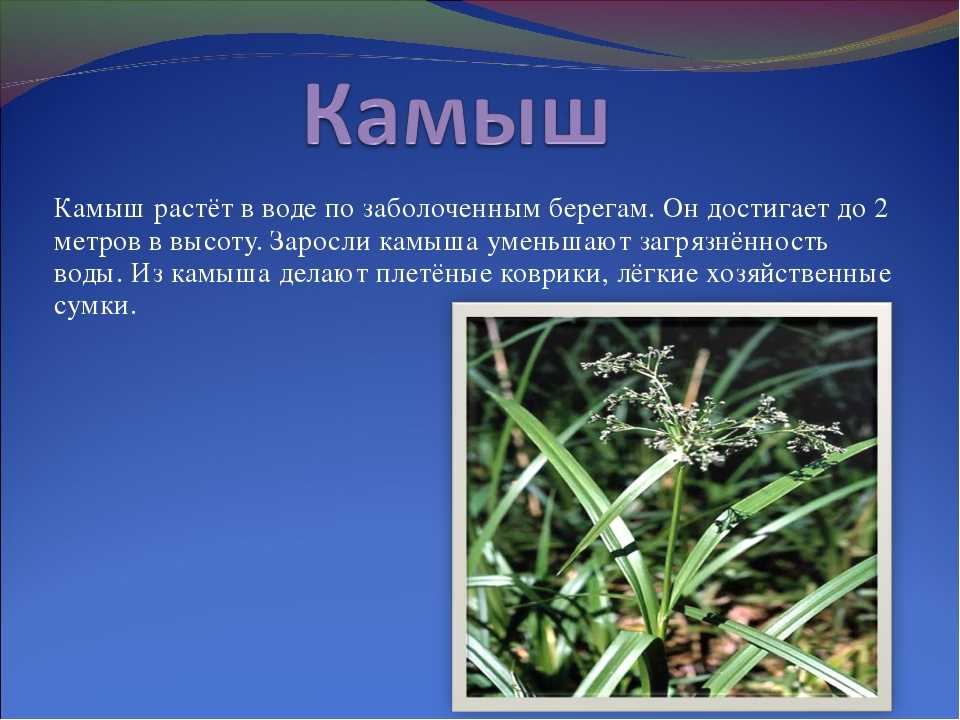 Буква ы: задания для дошкольников, игры с буквами для детей
