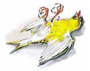 Отзыв о рассказе птичка льва николаевича толстого