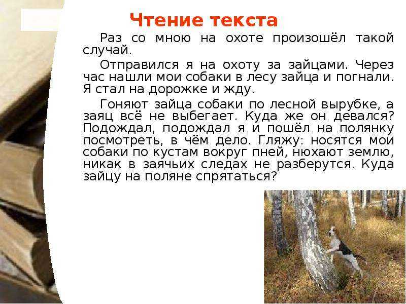 В лесу текст 8 класс русский. Раз на охоте произошёл такой случай. Раз со мной на охоте произошёл. Рассказы об охоте. Раз со мной на охоте произошёл такой случай текст.