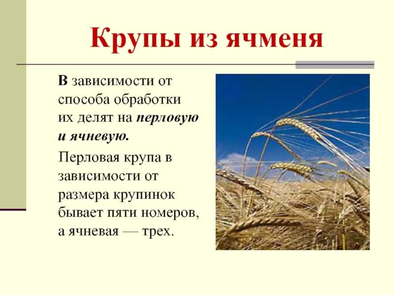 Русские народные сказки. народное фольклор творчество.
