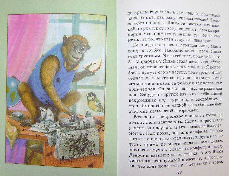 Стихи на ночь детям: 20 самых сонных стихов для детей