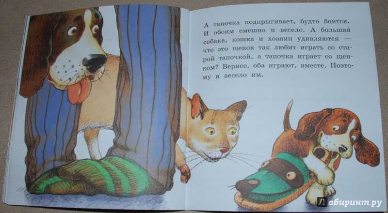 Рассказы о дружбе для детей 2-3 класса. внеклассное чтение