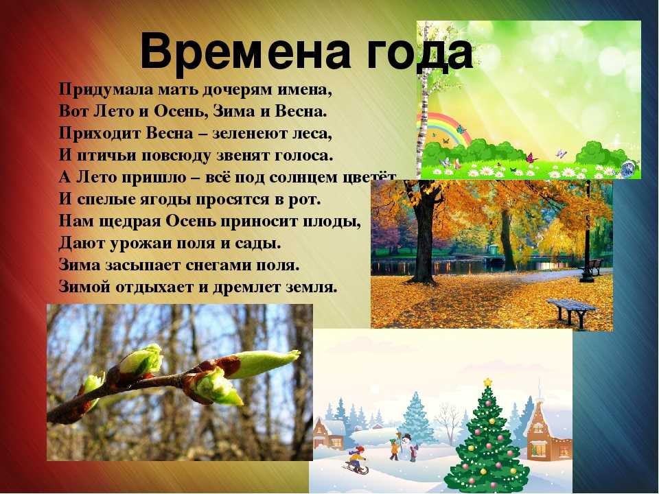 Рассказы соколова микитова лес осенью