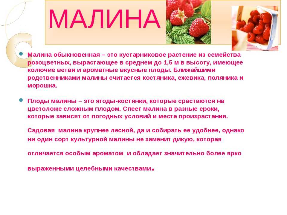 Сочинение на тему: моя любимая ягода (7 вариантов и 3 похожих топика)
