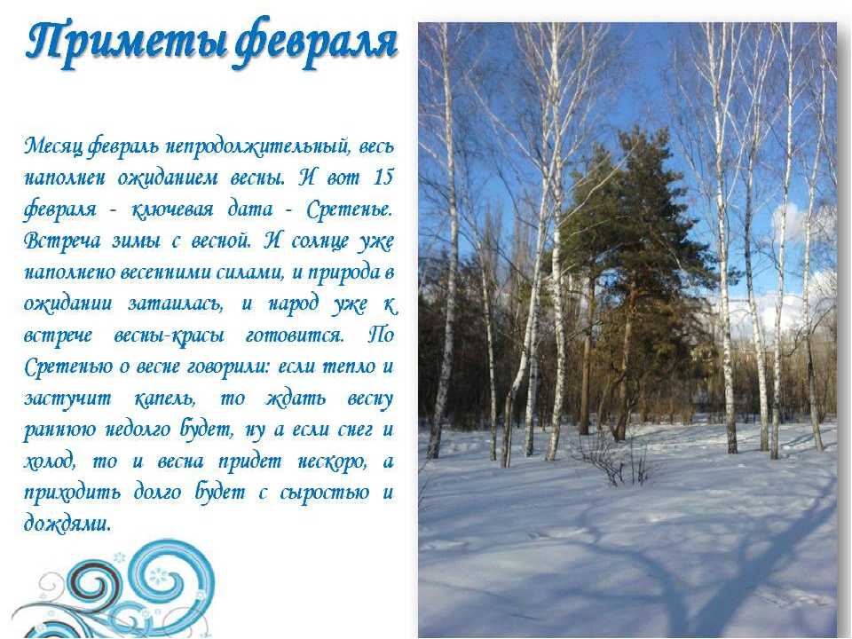 Пословицы и поговорки о феврале для школьников